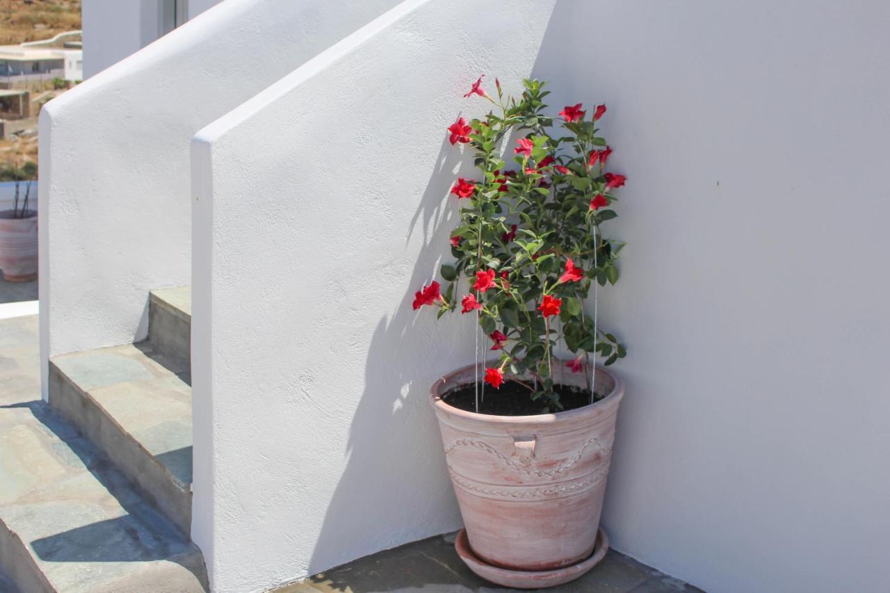 Crystal View Mykonos Apart otel Mykonos Town Dış mekan fotoğraf
